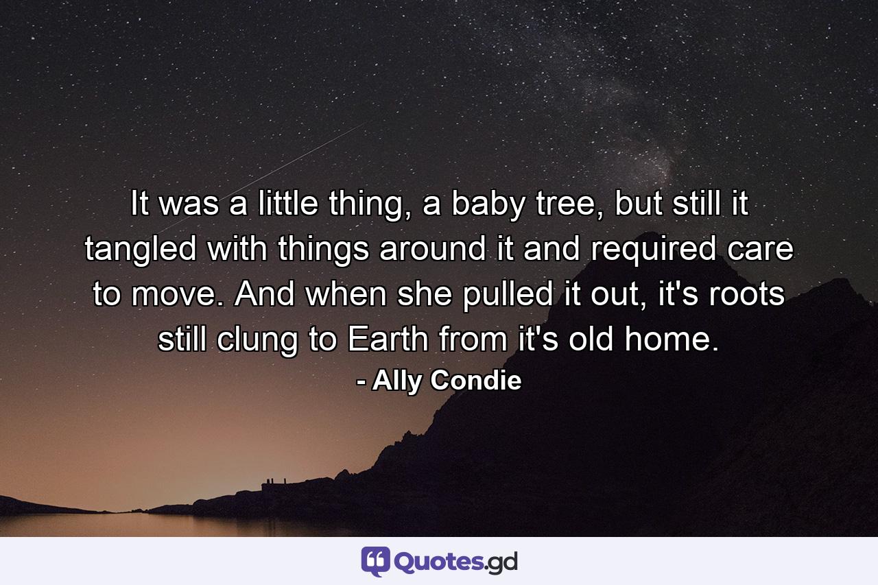 It was a little thing, a baby tree, but still it tangled with things around it and required care to move. And when she pulled it out, it's roots still clung to Earth from it's old home. - Quote by Ally Condie