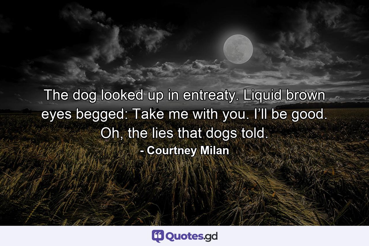 The dog looked up in entreaty. Liquid brown eyes begged: Take me with you. I’ll be good. Oh, the lies that dogs told. - Quote by Courtney Milan