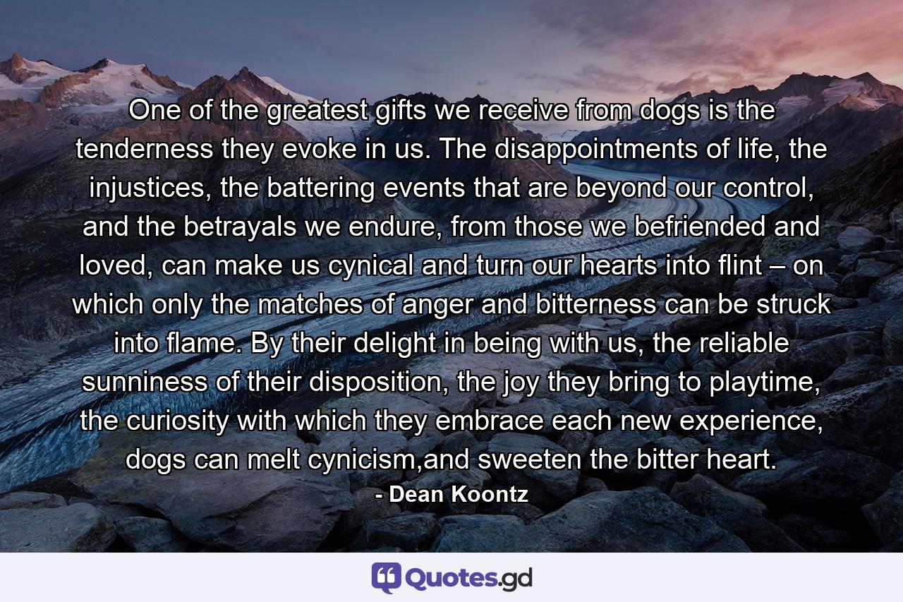 One of the greatest gifts we receive from dogs is the tenderness they evoke in us. The disappointments of life, the injustices, the battering events that are beyond our control, and the betrayals we endure, from those we befriended and loved, can make us cynical and turn our hearts into flint – on which only the matches of anger and bitterness can be struck into flame. By their delight in being with us, the reliable sunniness of their disposition, the joy they bring to playtime, the curiosity with which they embrace each new experience, dogs can melt cynicism,and sweeten the bitter heart. - Quote by Dean Koontz