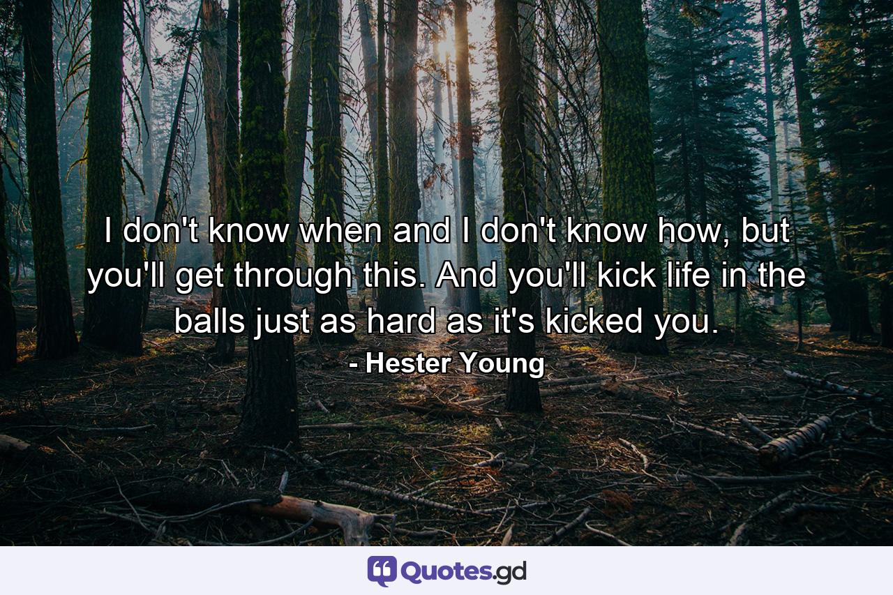 I don't know when and I don't know how, but you'll get through this. And you'll kick life in the balls just as hard as it's kicked you. - Quote by Hester Young