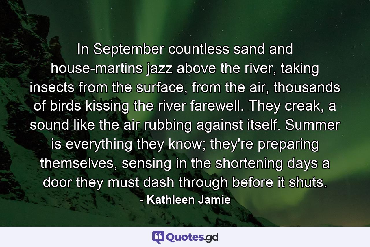 In September countless sand and house-martins jazz above the river, taking insects from the surface, from the air, thousands of birds kissing the river farewell. They creak, a sound like the air rubbing against itself. Summer is everything they know; they're preparing themselves, sensing in the shortening days a door they must dash through before it shuts. - Quote by Kathleen Jamie