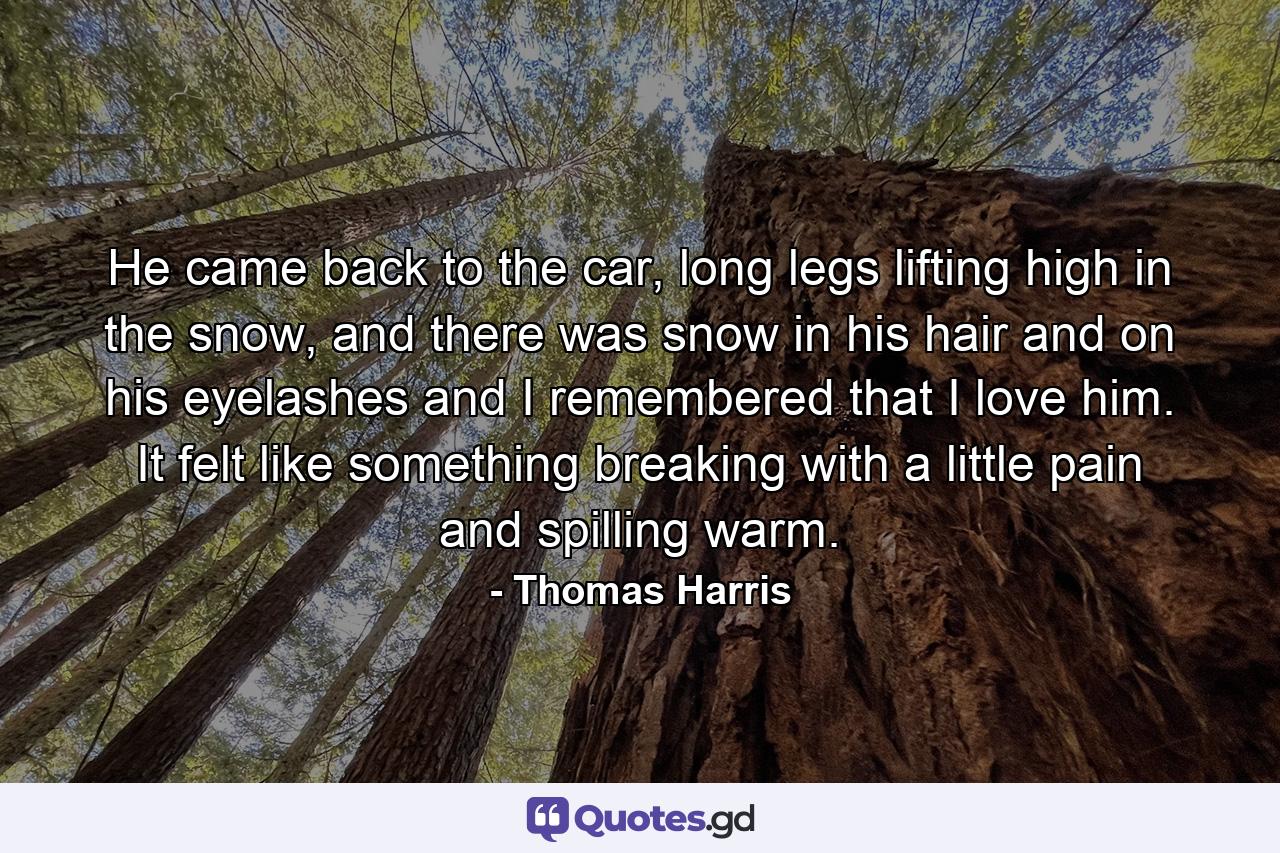 He came back to the car, long legs lifting high in the snow, and there was snow in his hair and on his eyelashes and I remembered that I love him. It felt like something breaking with a little pain and spilling warm. - Quote by Thomas Harris