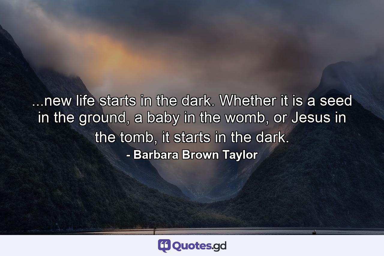 ...new life starts in the dark. Whether it is a seed in the ground, a baby in the womb, or Jesus in the tomb, it starts in the dark. - Quote by Barbara Brown Taylor