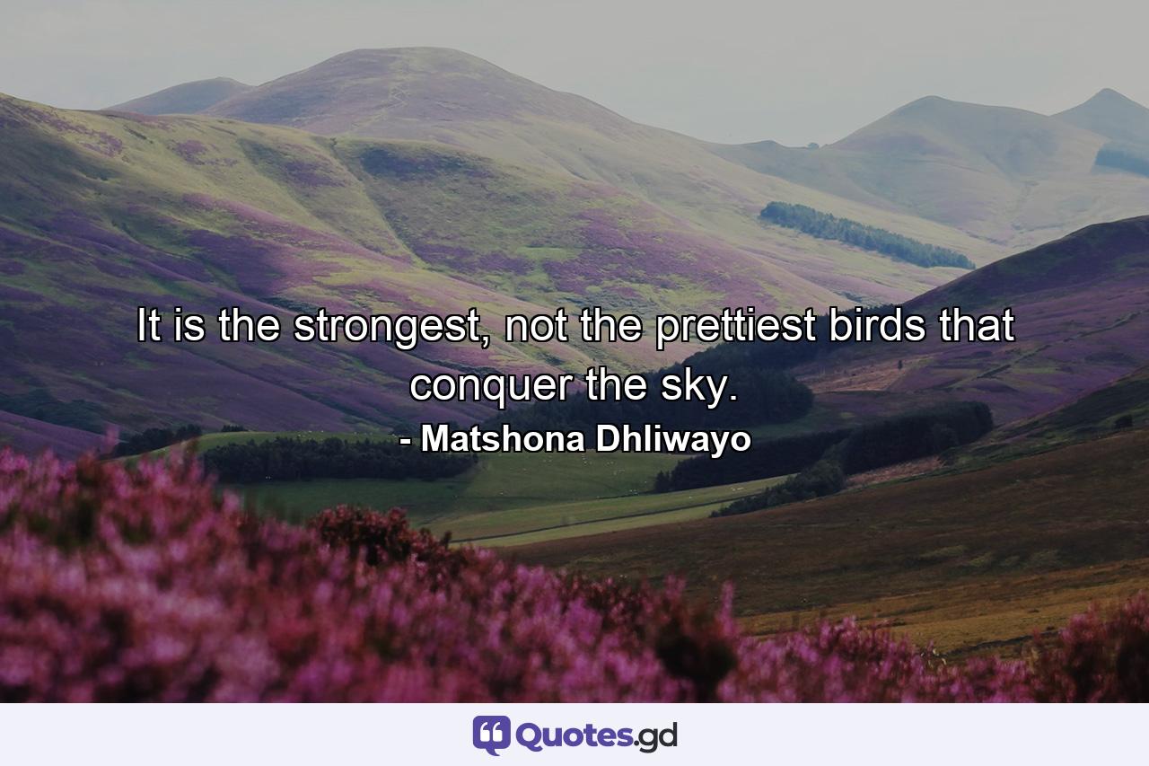 It is the strongest, not the prettiest birds that conquer the sky. - Quote by Matshona Dhliwayo