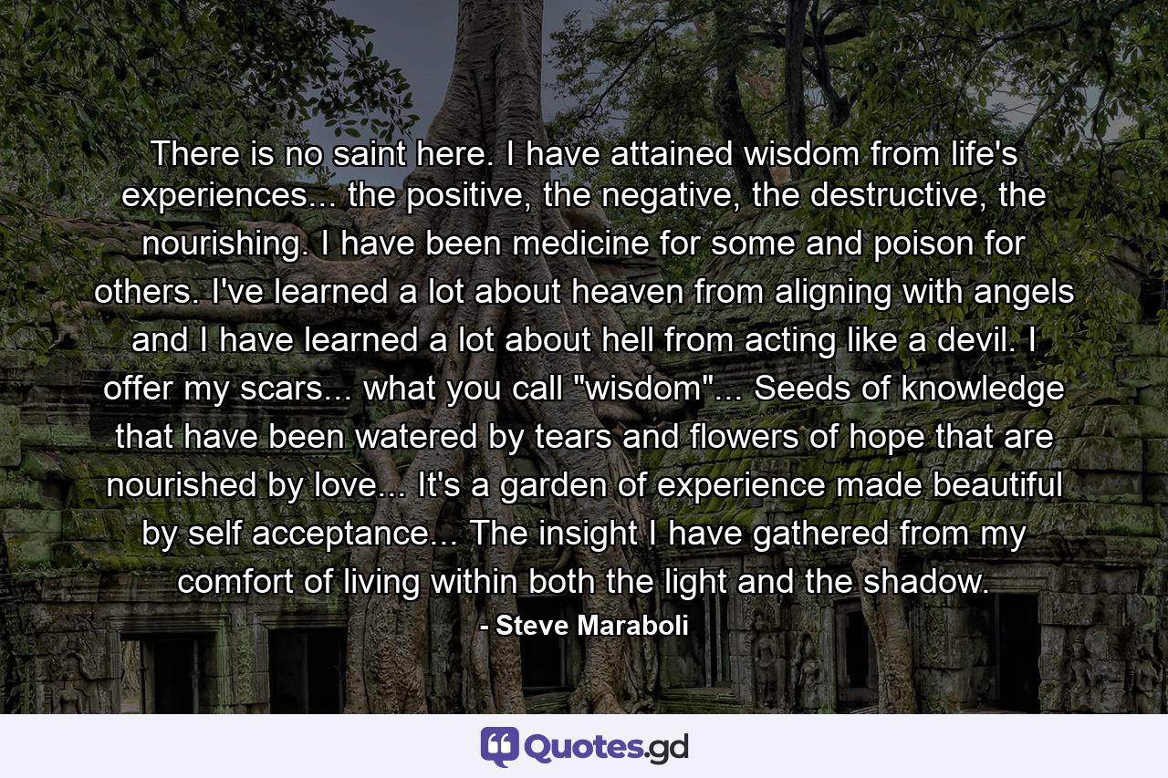 There is no saint here. I have attained wisdom from life's experiences... the positive, the negative, the destructive, the nourishing. I have been medicine for some and poison for others. I've learned a lot about heaven from aligning with angels and I have learned a lot about hell from acting like a devil. I offer my scars... what you call 