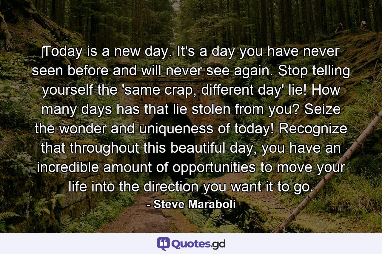 ‎Today is a new day. It's a day you have never seen before and will never see again. Stop telling yourself the 'same crap, different day' lie! How many days has that lie stolen from you? Seize the wonder and uniqueness of today! Recognize that throughout this beautiful day, you have an incredible amount of opportunities to move your life into the direction you want it to go. - Quote by Steve Maraboli