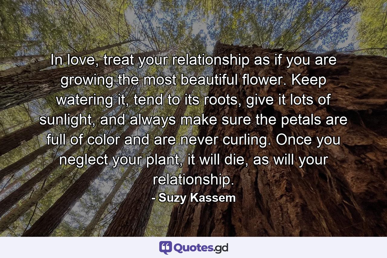 In love, treat your relationship as if you are growing the most beautiful flower. Keep watering it, tend to its roots, give it lots of sunlight, and always make sure the petals are full of color and are never curling. Once you neglect your plant, it will die, as will your relationship. - Quote by Suzy Kassem