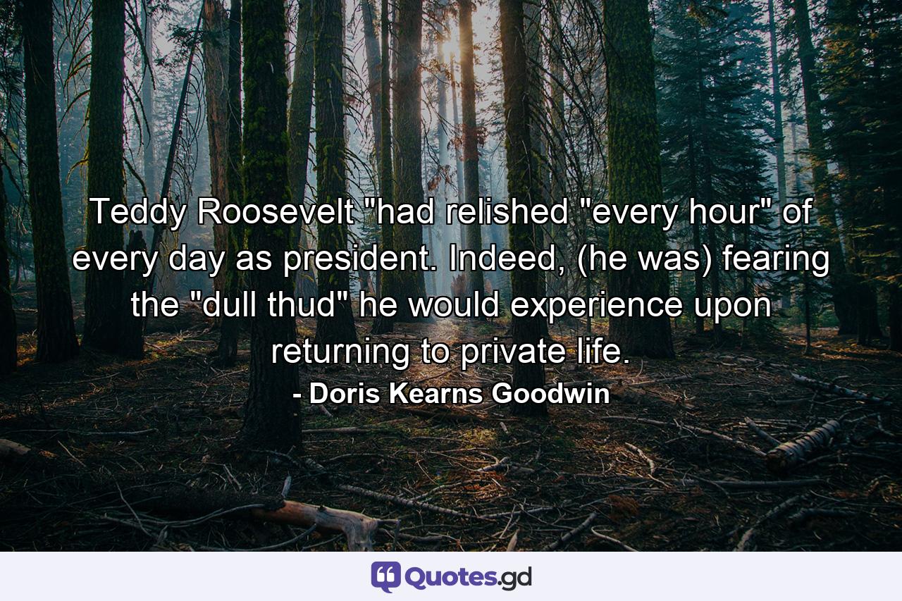 Teddy Roosevelt 