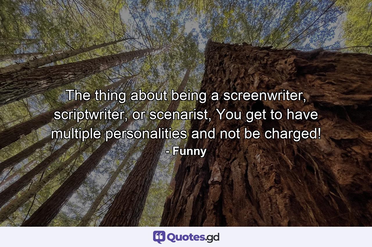 The thing about being a screenwriter, scriptwriter, or scenarist, You get to have multiple personalities and not be charged! - Quote by Funny