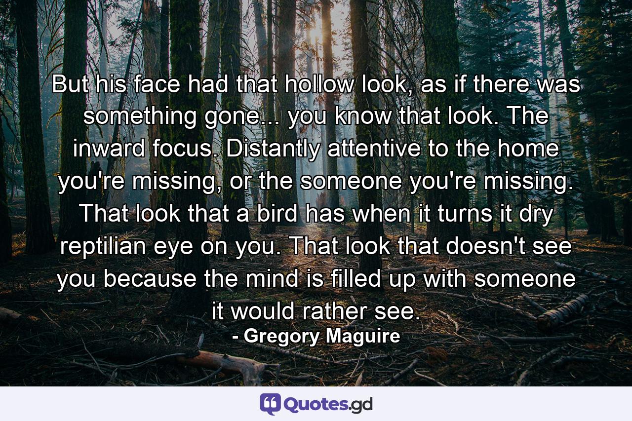 But his face had that hollow look, as if there was something gone... you know that look. The inward focus. Distantly attentive to the home you're missing, or the someone you're missing. That look that a bird has when it turns it dry reptilian eye on you. That look that doesn't see you because the mind is filled up with someone it would rather see. - Quote by Gregory Maguire