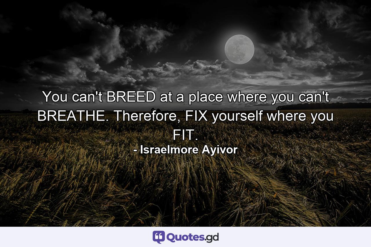 You can't BREED at a place where you can't BREATHE. Therefore, FIX yourself where you FIT. - Quote by Israelmore Ayivor