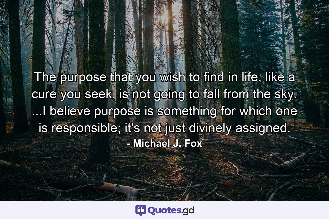 The purpose that you wish to find in life, like a cure you seek, is not going to fall from the sky. ...I believe purpose is something for which one is responsible; it's not just divinely assigned. - Quote by Michael J. Fox