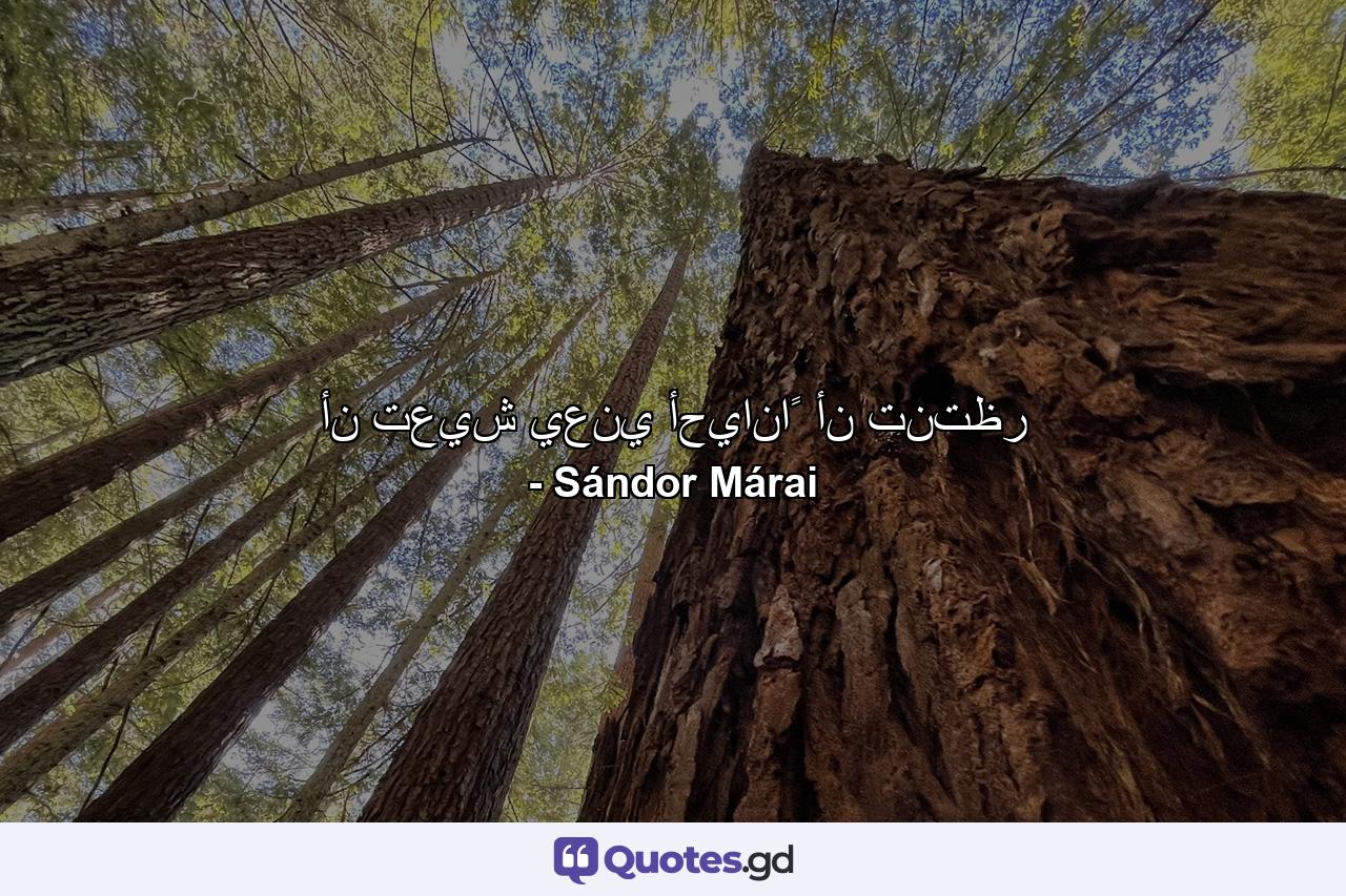 أن تعيش يعني أحياناً أن تنتظر - Quote by Sándor Márai