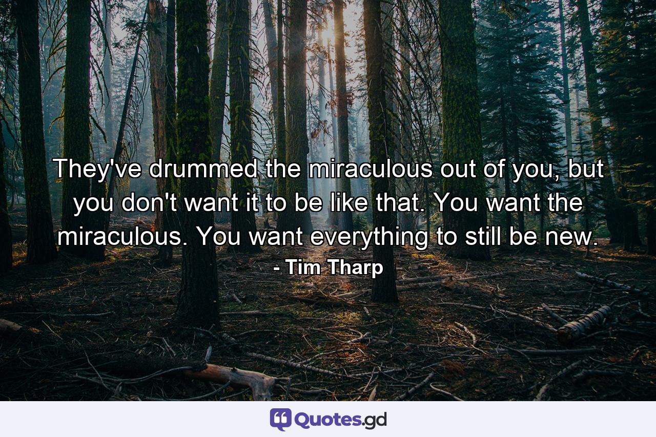 They've drummed the miraculous out of you, but you don't want it to be like that. You want the miraculous. You want everything to still be new. - Quote by Tim Tharp