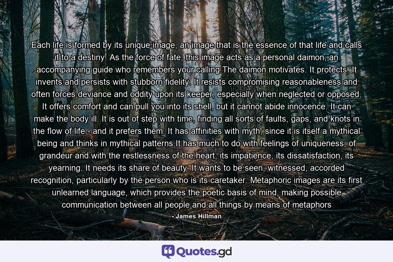 Each life is formed by its unique image, an image that is the essence of that life and calls it to a destiny. As the force of fate, this image acts as a personal daimon, an accompanying guide who remembers your calling.The daimon motivates. It protects. It invents and persists with stubborn fidelity. It resists compromising reasonableness and often forces deviance and oddity upon its keeper, especially when neglected or opposed. It offers comfort and can pull you into its shell, but it cannot abide innocence. It can make the body ill. It is out of step with time, finding all sorts of faults, gaps, and knots in the flow of life - and it prefers them. It has affinities with myth, since it is itself a mythical being and thinks in mythical patterns.It has much to do with feelings of uniqueness, of grandeur and with the restlessness of the heart, its impatience, its dissatisfaction, its yearning. It needs its share of beauty. It wants to be seen, witnessed, accorded recognition, particularly by the person who is its caretaker. Metaphoric images are its first unlearned language, which provides the poetic basis of mind, making possible communication between all people and all things by means of metaphors - Quote by James Hillman