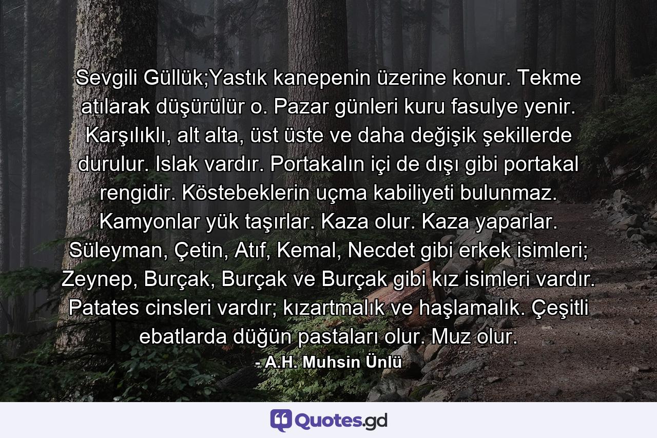 Sevgili Güllük;Yastık kanepenin üzerine konur. Tekme atılarak düşürülür o. Pazar günleri kuru fasulye yenir. Karşılıklı, alt alta, üst üste ve daha değişik şekillerde durulur. Islak vardır. Portakalın içi de dışı gibi portakal rengidir. Köstebeklerin uçma kabiliyeti bulunmaz. Kamyonlar yük taşırlar. Kaza olur. Kaza yaparlar. Süleyman, Çetin, Atıf, Kemal, Necdet gibi erkek isimleri; Zeynep, Burçak, Burçak ve Burçak gibi kız isimleri vardır. Patates cinsleri vardır; kızartmalık ve haşlamalık. Çeşitli ebatlarda düğün pastaları olur. Muz olur. - Quote by A.H. Muhsin Ünlü