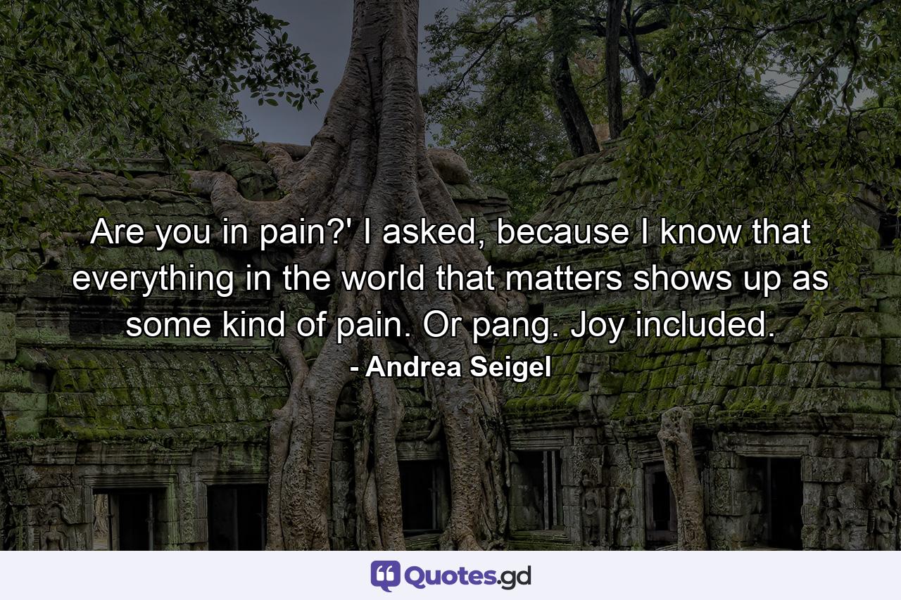 Are you in pain?' I asked, because I know that everything in the world that matters shows up as some kind of pain. Or pang. Joy included. - Quote by Andrea Seigel