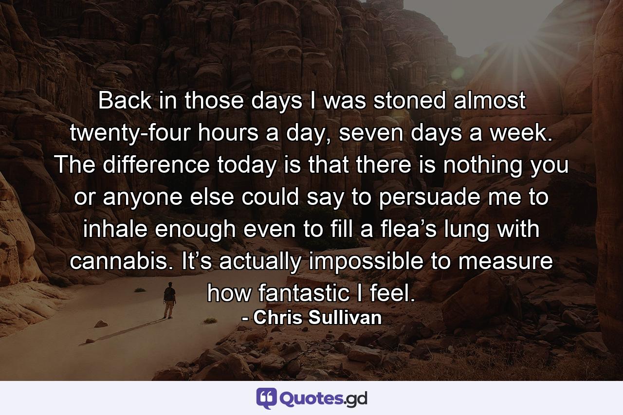 Back in those days I was stoned almost twenty-four hours a day, seven days a week. The difference today is that there is nothing you or anyone else could say to persuade me to inhale enough even to fill a flea’s lung with cannabis. It’s actually impossible to measure how fantastic I feel. - Quote by Chris Sullivan