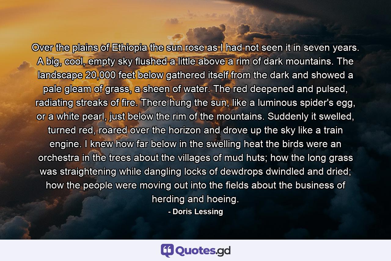 Over the plains of Ethiopia the sun rose as I had not seen it in seven years. A big, cool, empty sky flushed a little above a rim of dark mountains. The landscape 20,000 feet below gathered itself from the dark and showed a pale gleam of grass, a sheen of water. The red deepened and pulsed, radiating streaks of fire. There hung the sun, like a luminous spider's egg, or a white pearl, just below the rim of the mountains. Suddenly it swelled, turned red, roared over the horizon and drove up the sky like a train engine. I knew how far below in the swelling heat the birds were an orchestra in the trees about the villages of mud huts; how the long grass was straightening while dangling locks of dewdrops dwindled and dried; how the people were moving out into the fields about the business of herding and hoeing. - Quote by Doris Lessing