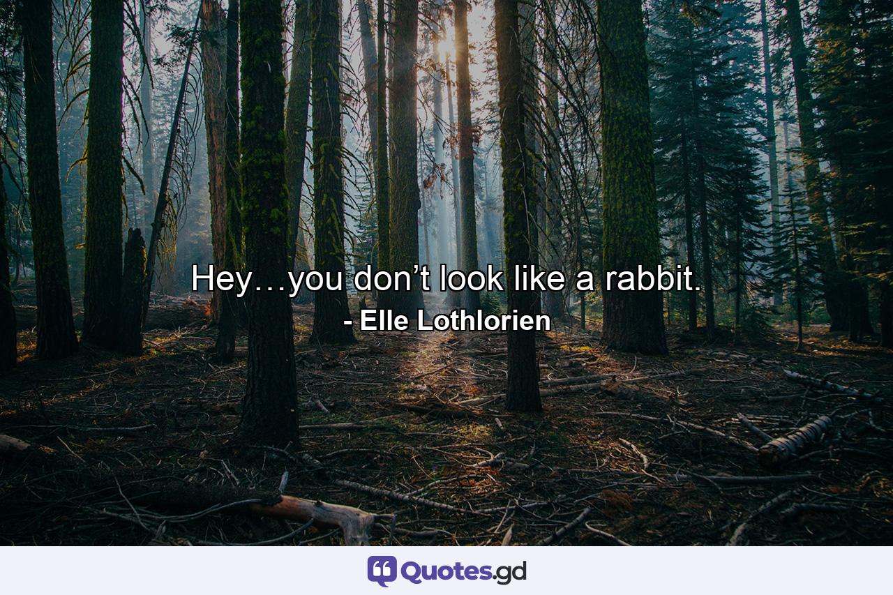 Hey…you don’t look like a rabbit. - Quote by Elle Lothlorien