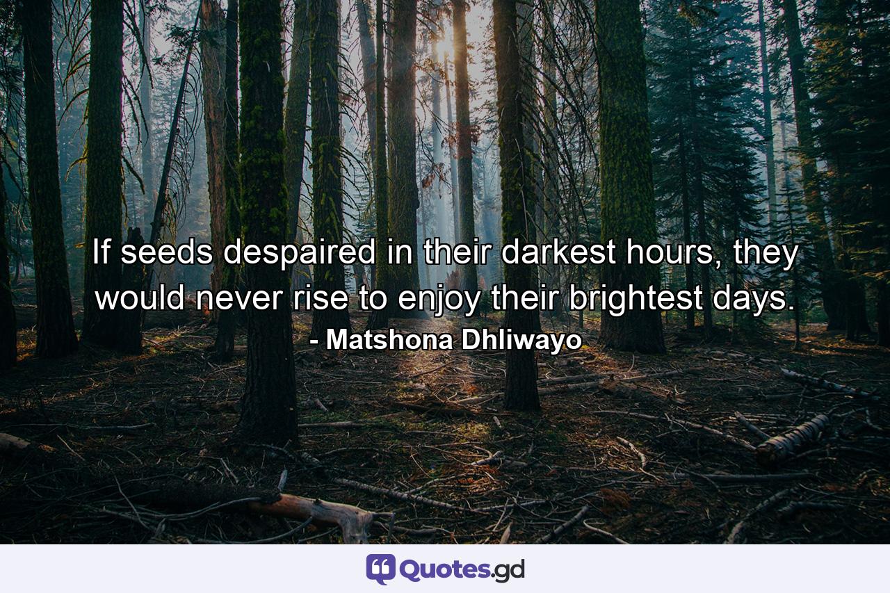 If seeds despaired in their darkest hours, they would never rise to enjoy their brightest days. - Quote by Matshona Dhliwayo