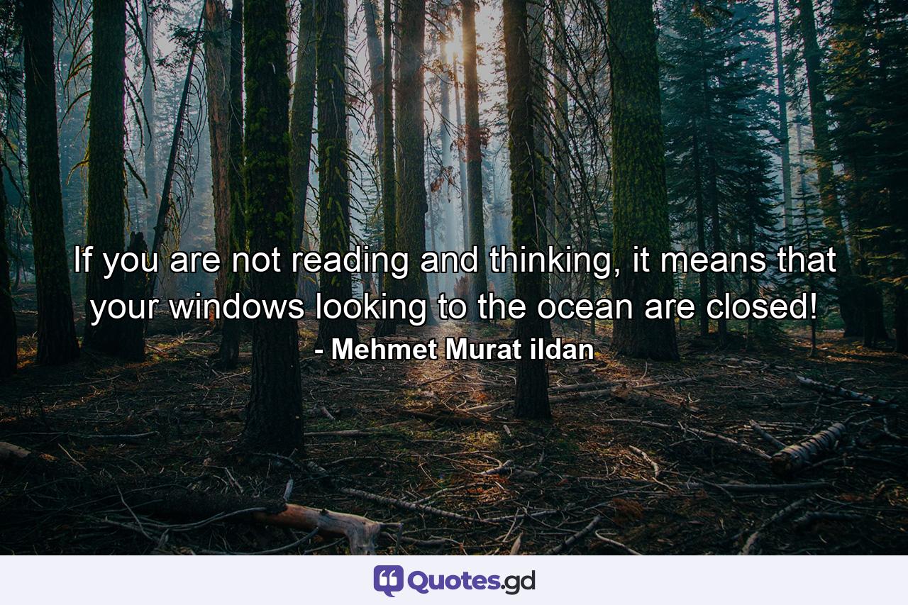 If you are not reading and thinking, it means that your windows looking to the ocean are closed! - Quote by Mehmet Murat ildan