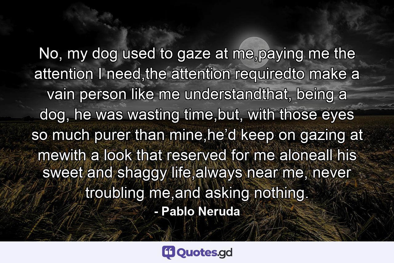 No, my dog used to gaze at me,paying me the attention I need,the attention requiredto make a vain person like me understandthat, being a dog, he was wasting time,but, with those eyes so much purer than mine,he’d keep on gazing at mewith a look that reserved for me aloneall his sweet and shaggy life,always near me, never troubling me,and asking nothing. - Quote by Pablo Neruda