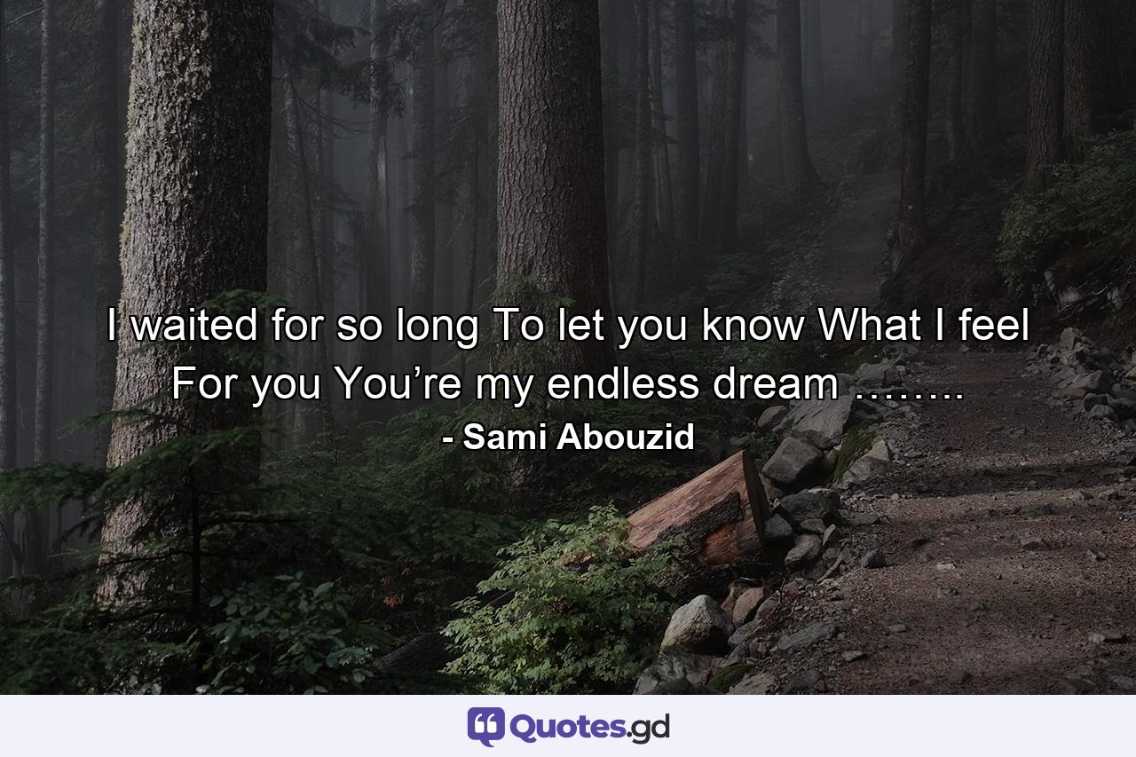 I waited for so long To let you know What I feel For you You’re my endless dream …….. - Quote by Sami Abouzid