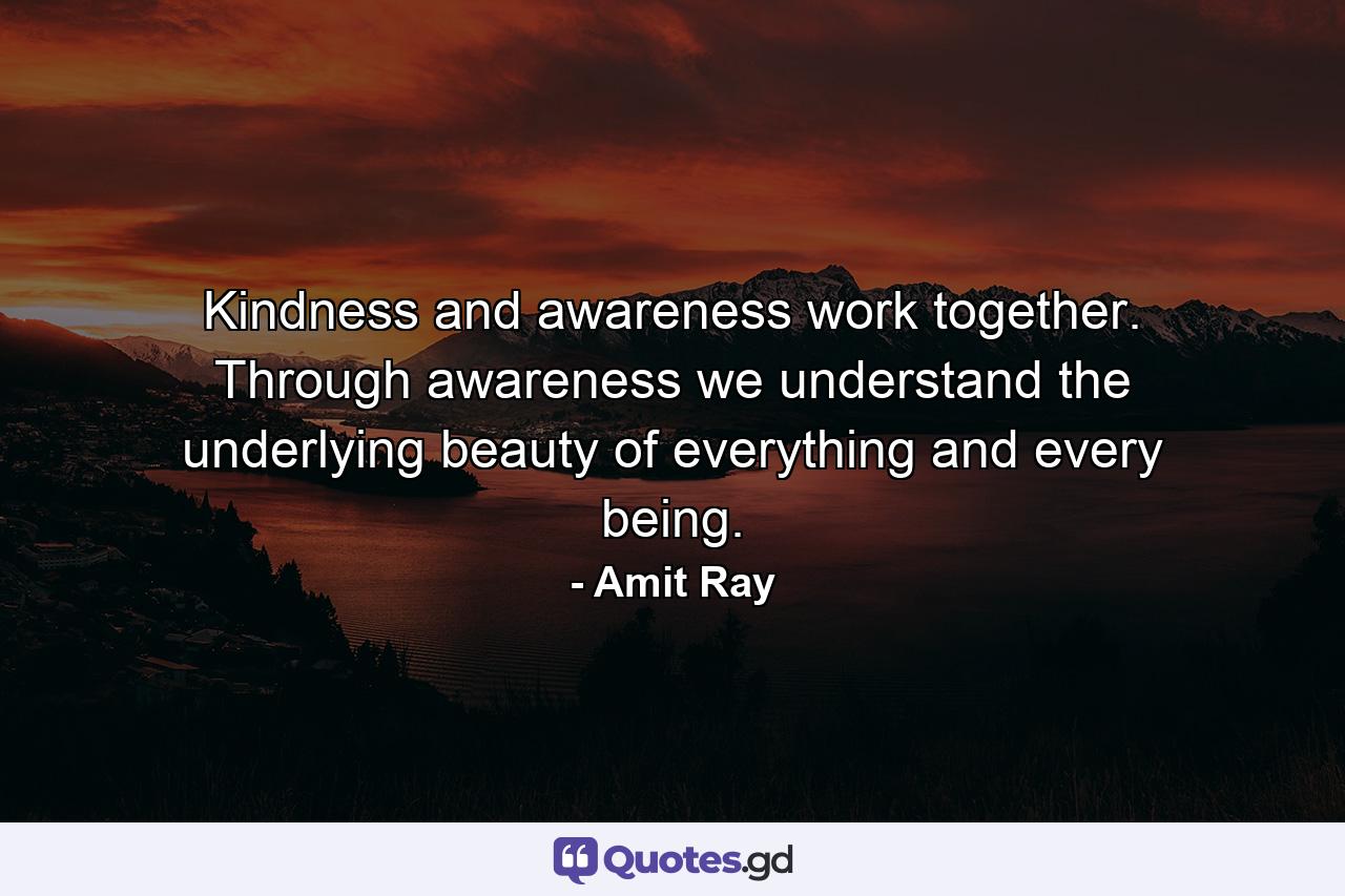 Kindness and awareness work together. Through awareness we understand the underlying beauty of everything and every being. - Quote by Amit Ray