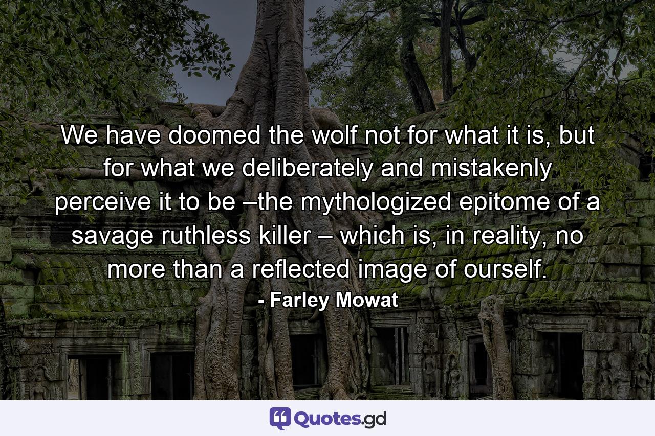 We have doomed the wolf not for what it is, but for what we deliberately and mistakenly perceive it to be –the mythologized epitome of a savage ruthless killer – which is, in reality, no more than a reflected image of ourself. - Quote by Farley Mowat