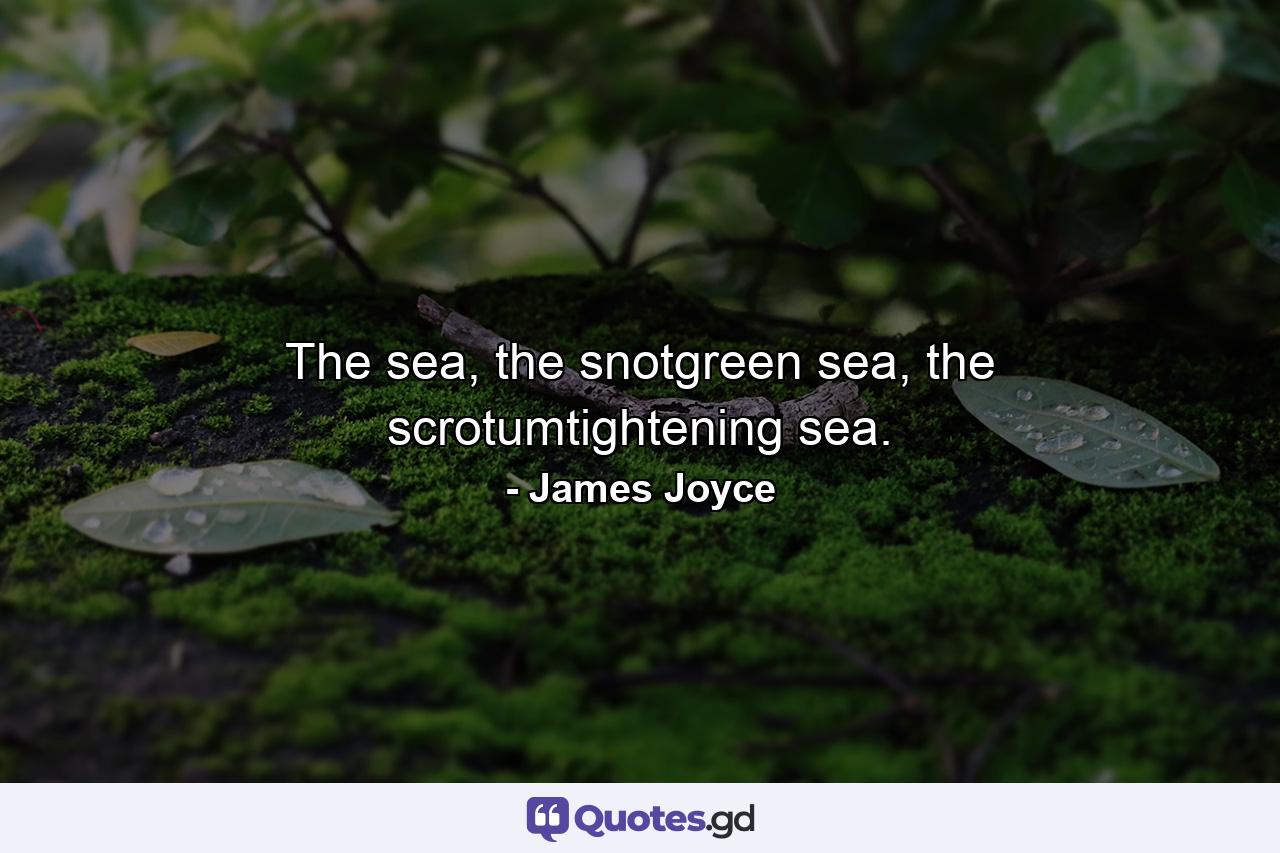 The sea, the snotgreen sea, the scrotumtightening sea. - Quote by James Joyce