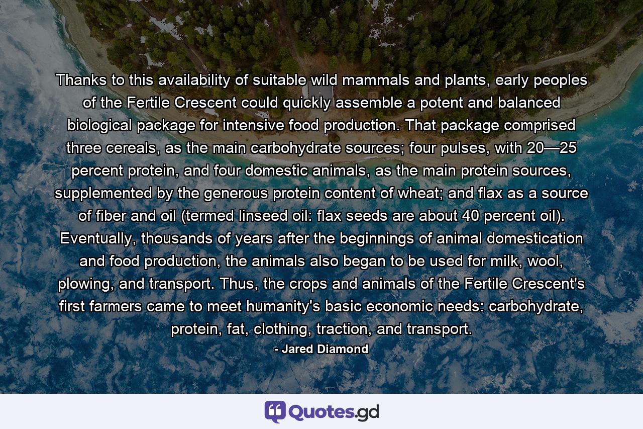 Thanks to this availability of suitable wild mammals and plants, early peoples of the Fertile Crescent could quickly assemble a potent and balanced biological package for intensive food production. That package comprised three cereals, as the main carbohydrate sources; four pulses, with 20—25 percent protein, and four domestic animals, as the main protein sources, supplemented by the generous protein content of wheat; and flax as a source of fiber and oil (termed linseed oil: flax seeds are about 40 percent oil). Eventually, thousands of years after the beginnings of animal domestication and food production, the animals also began to be used for milk, wool, plowing, and transport. Thus, the crops and animals of the Fertile Crescent's first farmers came to meet humanity's basic economic needs: carbohydrate, protein, fat, clothing, traction, and transport. - Quote by Jared Diamond