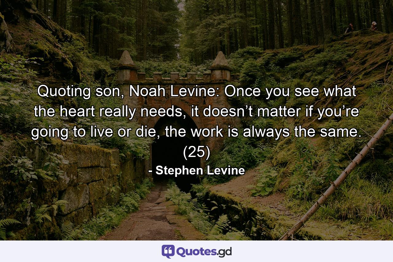 Quoting son, Noah Levine: Once you see what the heart really needs, it doesn’t matter if you’re going to live or die, the work is always the same. (25) - Quote by Stephen Levine