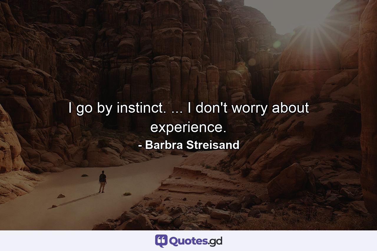 I go by instinct. ... I don't worry about experience. - Quote by Barbra Streisand