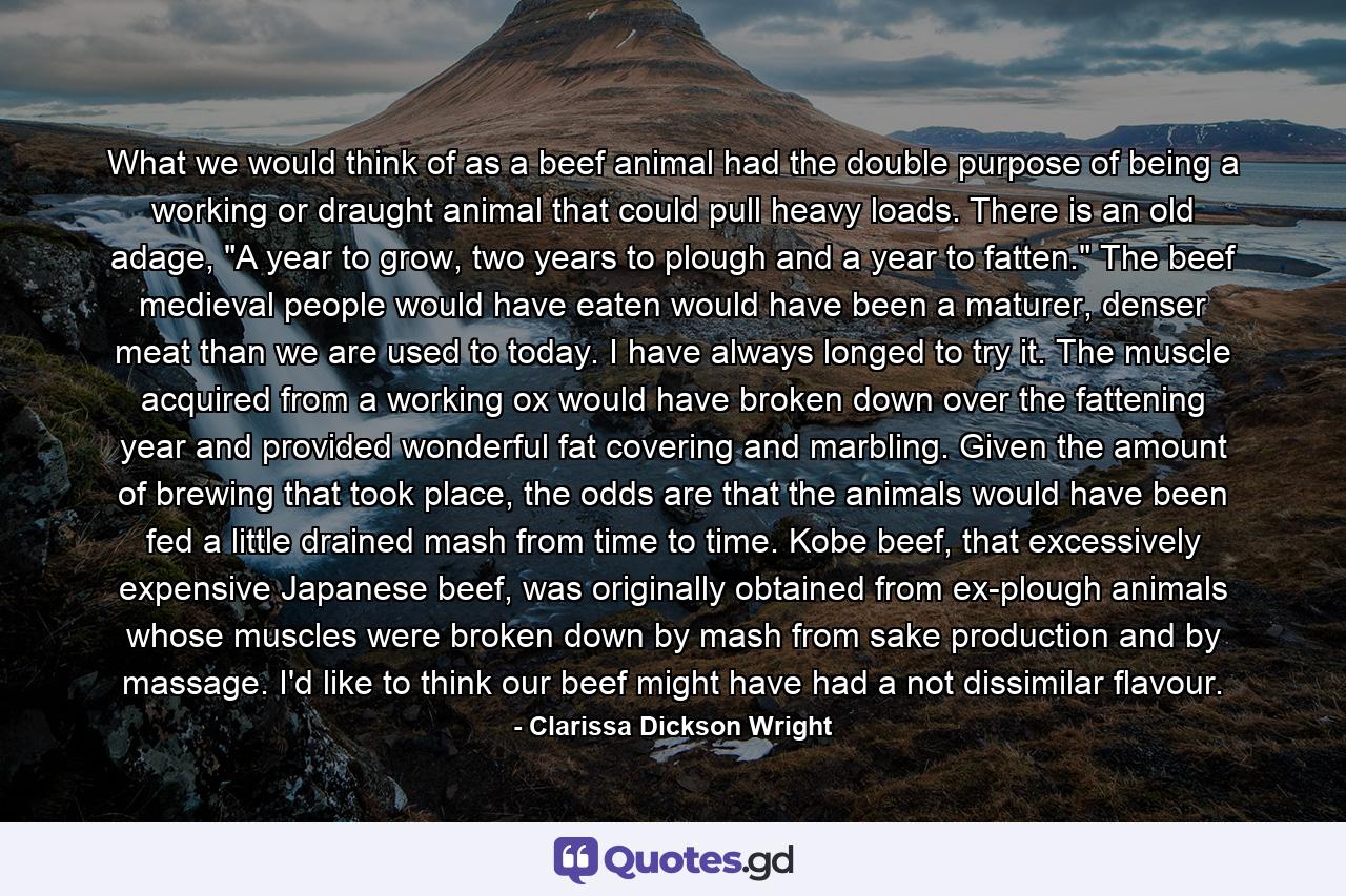 What we would think of as a beef animal had the double purpose of being a working or draught animal that could pull heavy loads. There is an old adage, 