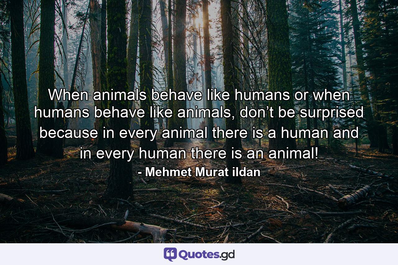 When animals behave like humans or when humans behave like animals, don’t be surprised because in every animal there is a human and in every human there is an animal! - Quote by Mehmet Murat ildan