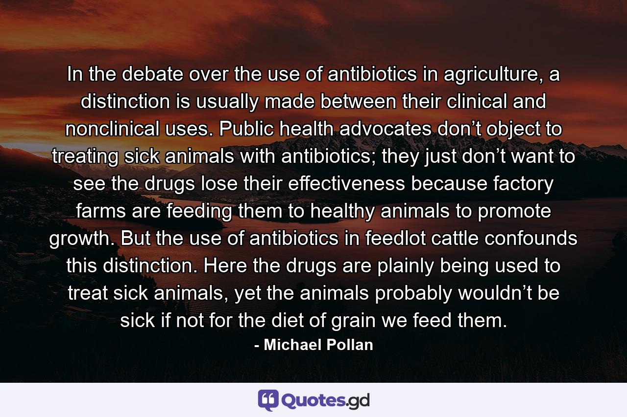 In the debate over the use of antibiotics in agriculture, a distinction is usually made between their clinical and nonclinical uses. Public health advocates don’t object to treating sick animals with antibiotics; they just don’t want to see the drugs lose their effectiveness because factory farms are feeding them to healthy animals to promote growth. But the use of antibiotics in feedlot cattle confounds this distinction. Here the drugs are plainly being used to treat sick animals, yet the animals probably wouldn’t be sick if not for the diet of grain we feed them. - Quote by Michael Pollan