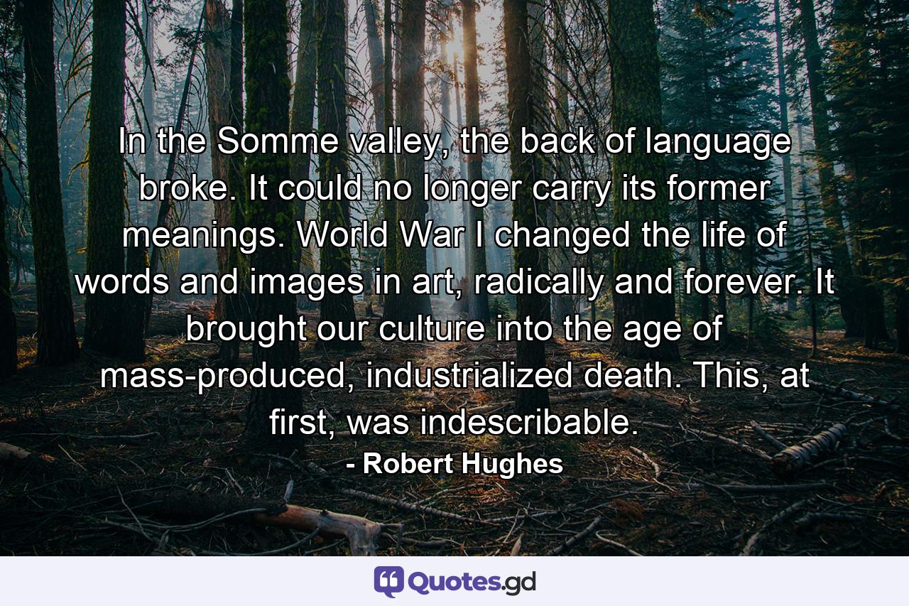 In the Somme valley, the back of language broke. It could no longer carry its former meanings. World War I changed the life of words and images in art, radically and forever. It brought our culture into the age of mass-produced, industrialized death. This, at first, was indescribable. - Quote by Robert Hughes