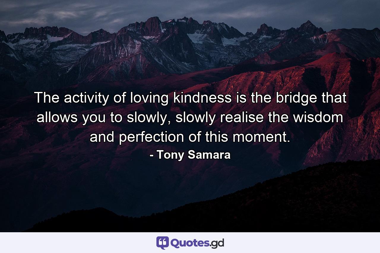 The activity of loving kindness is the bridge that allows you to slowly, slowly realise the wisdom and perfection of this moment. - Quote by Tony Samara