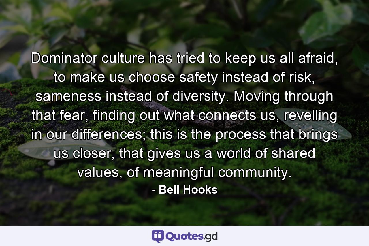 Dominator culture has tried to keep us all afraid, to make us choose safety instead of risk, sameness instead of diversity. Moving through that fear, finding out what connects us, revelling in our differences; this is the process that brings us closer, that gives us a world of shared values, of meaningful community. - Quote by Bell Hooks