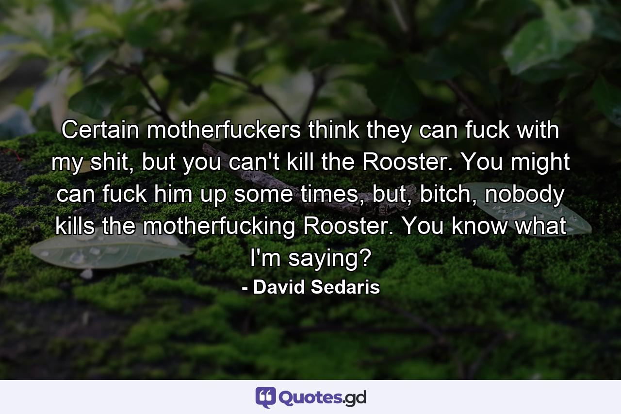 Certain motherfuckers think they can fuck with my shit, but you can't kill the Rooster. You might can fuck him up some times, but, bitch, nobody kills the motherfucking Rooster. You know what I'm saying? - Quote by David Sedaris