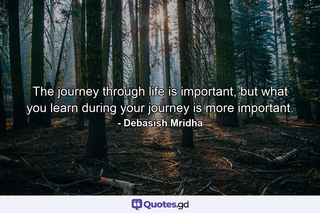 The journey through life is important, but what you learn during your journey is more important. - Quote by Debasish Mridha