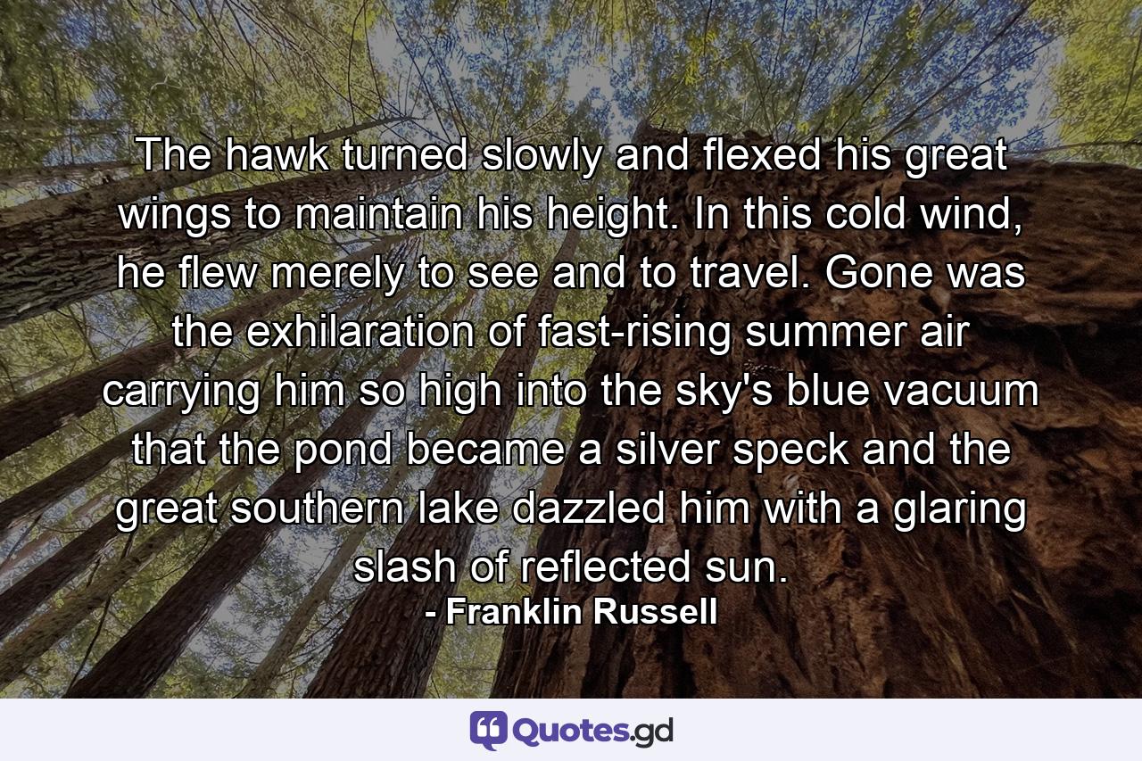 The hawk turned slowly and flexed his great wings to maintain his height. In this cold wind, he flew merely to see and to travel. Gone was the exhilaration of fast-rising summer air carrying him so high into the sky's blue vacuum that the pond became a silver speck and the great southern lake dazzled him with a glaring slash of reflected sun. - Quote by Franklin Russell