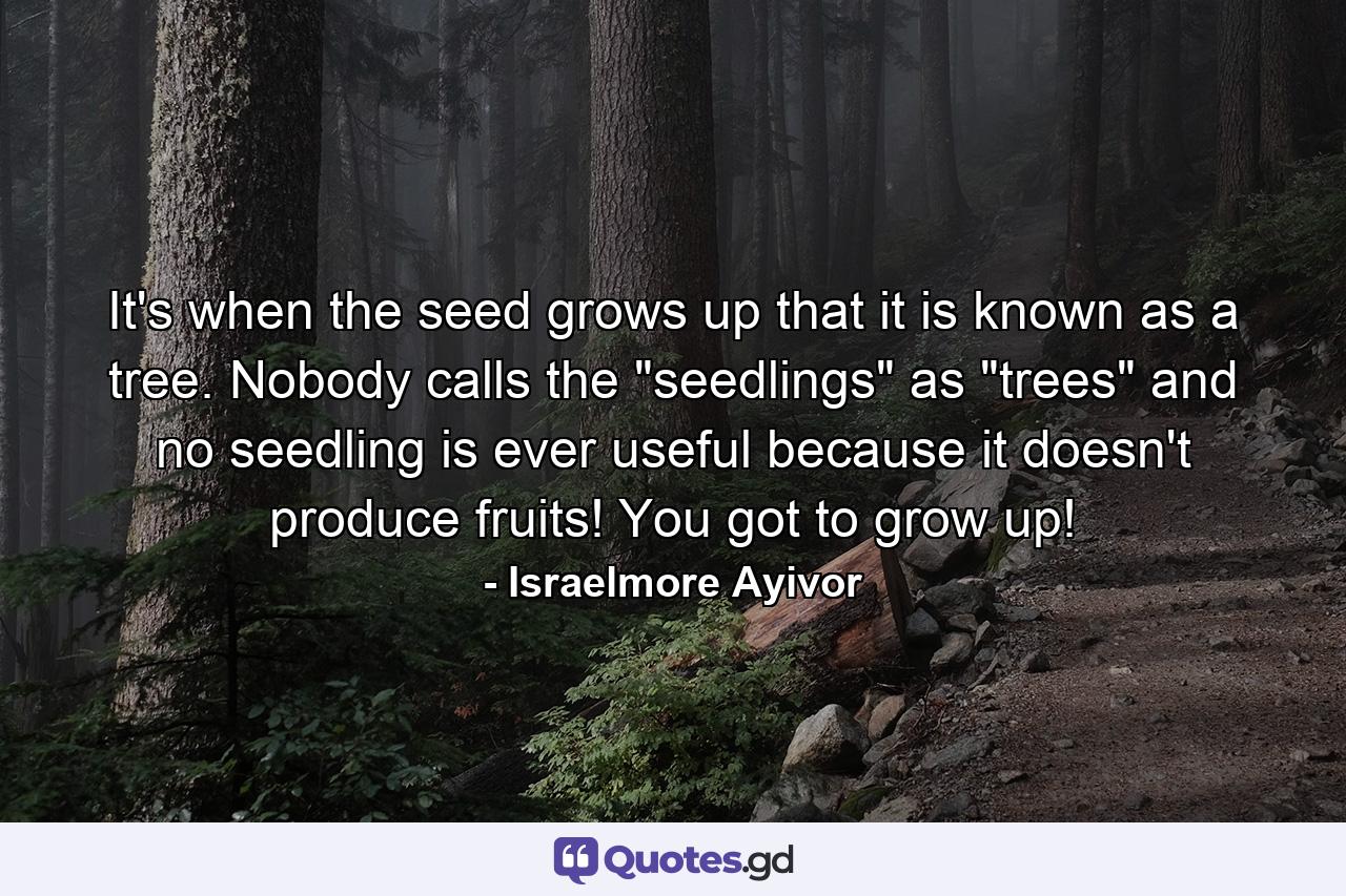 It's when the seed grows up that it is known as a tree. Nobody calls the 