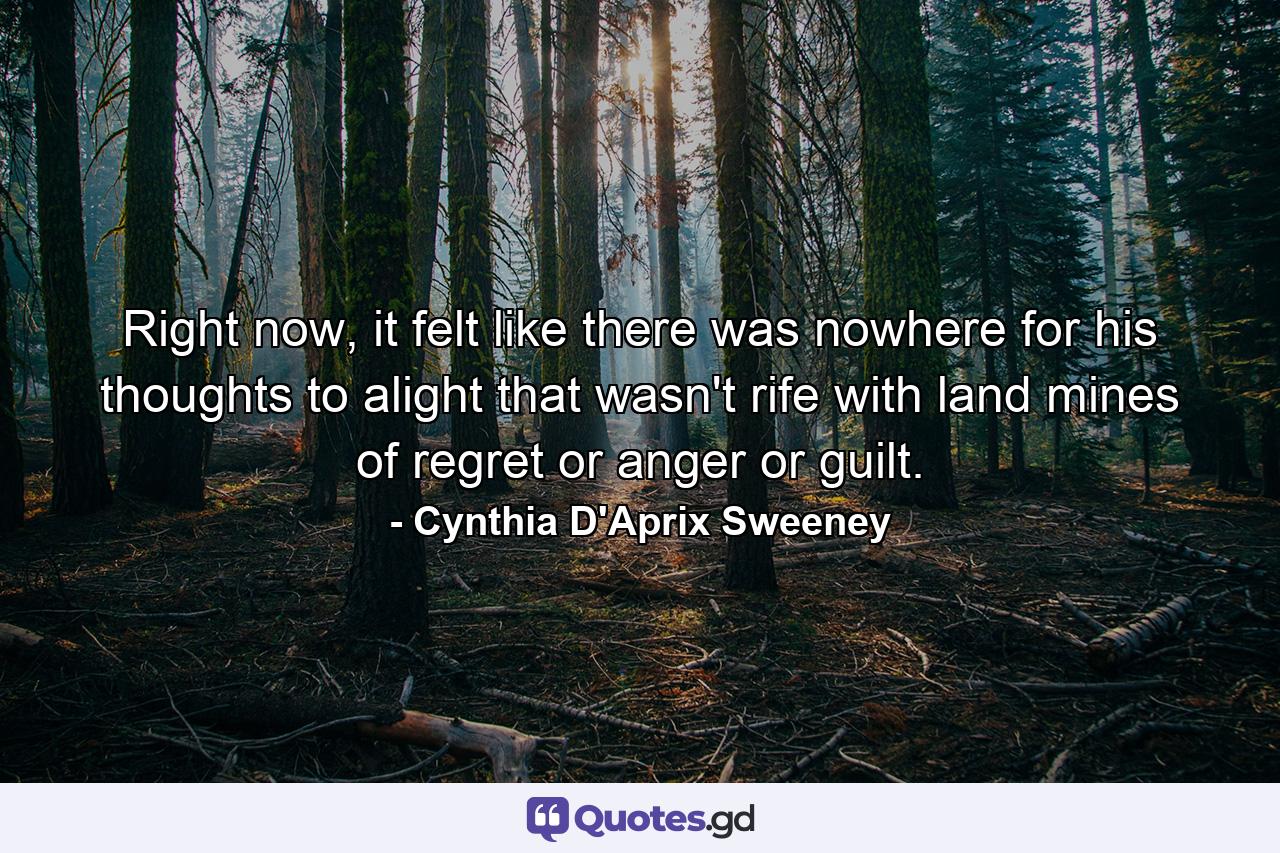 Right now, it felt like there was nowhere for his thoughts to alight that wasn't rife with land mines of regret or anger or guilt. - Quote by Cynthia D'Aprix Sweeney