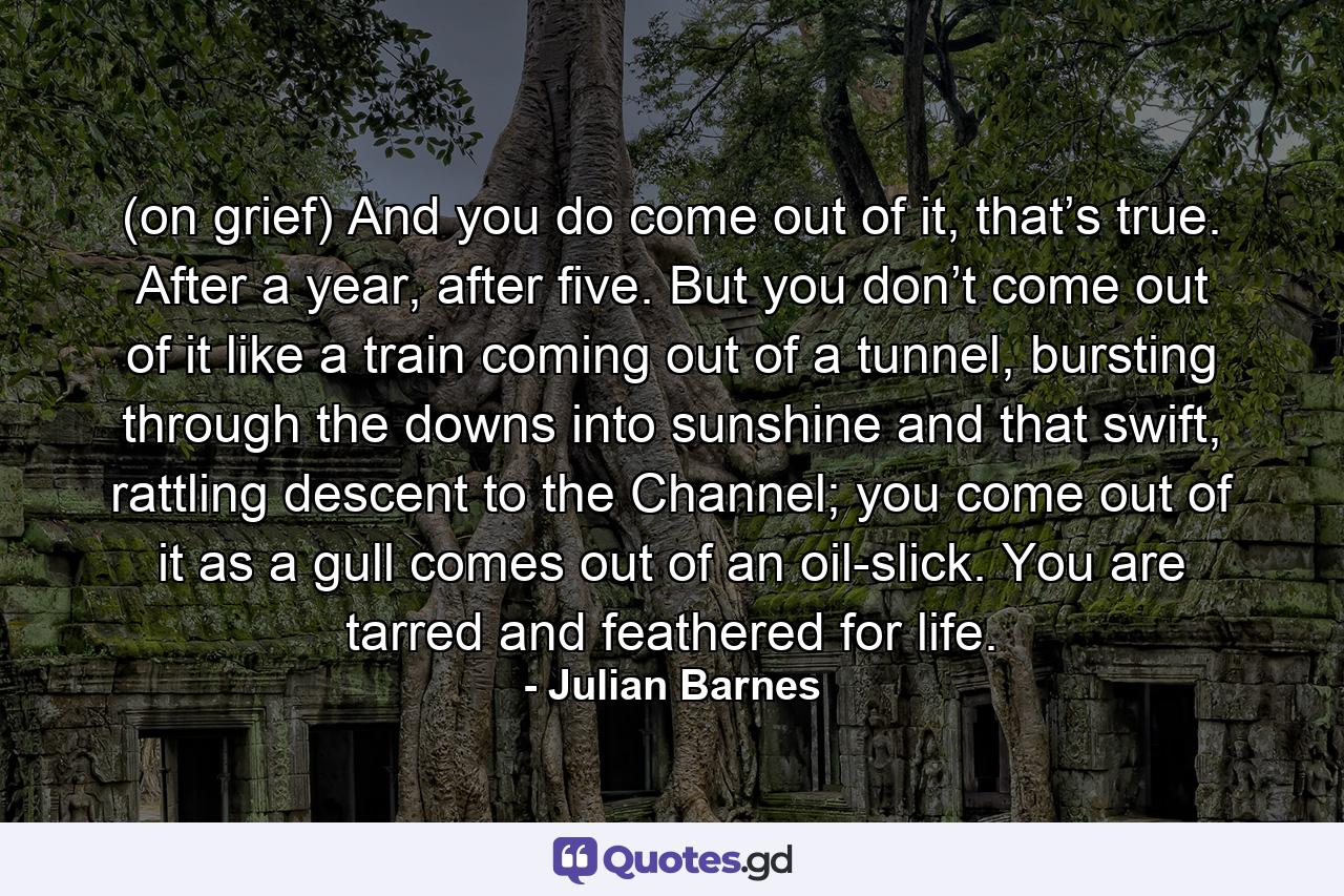 (on grief) And you do come out of it, that’s true. After a year, after five. But you don’t come out of it like a train coming out of a tunnel, bursting through the downs into sunshine and that swift, rattling descent to the Channel; you come out of it as a gull comes out of an oil-slick. You are tarred and feathered for life. - Quote by Julian Barnes