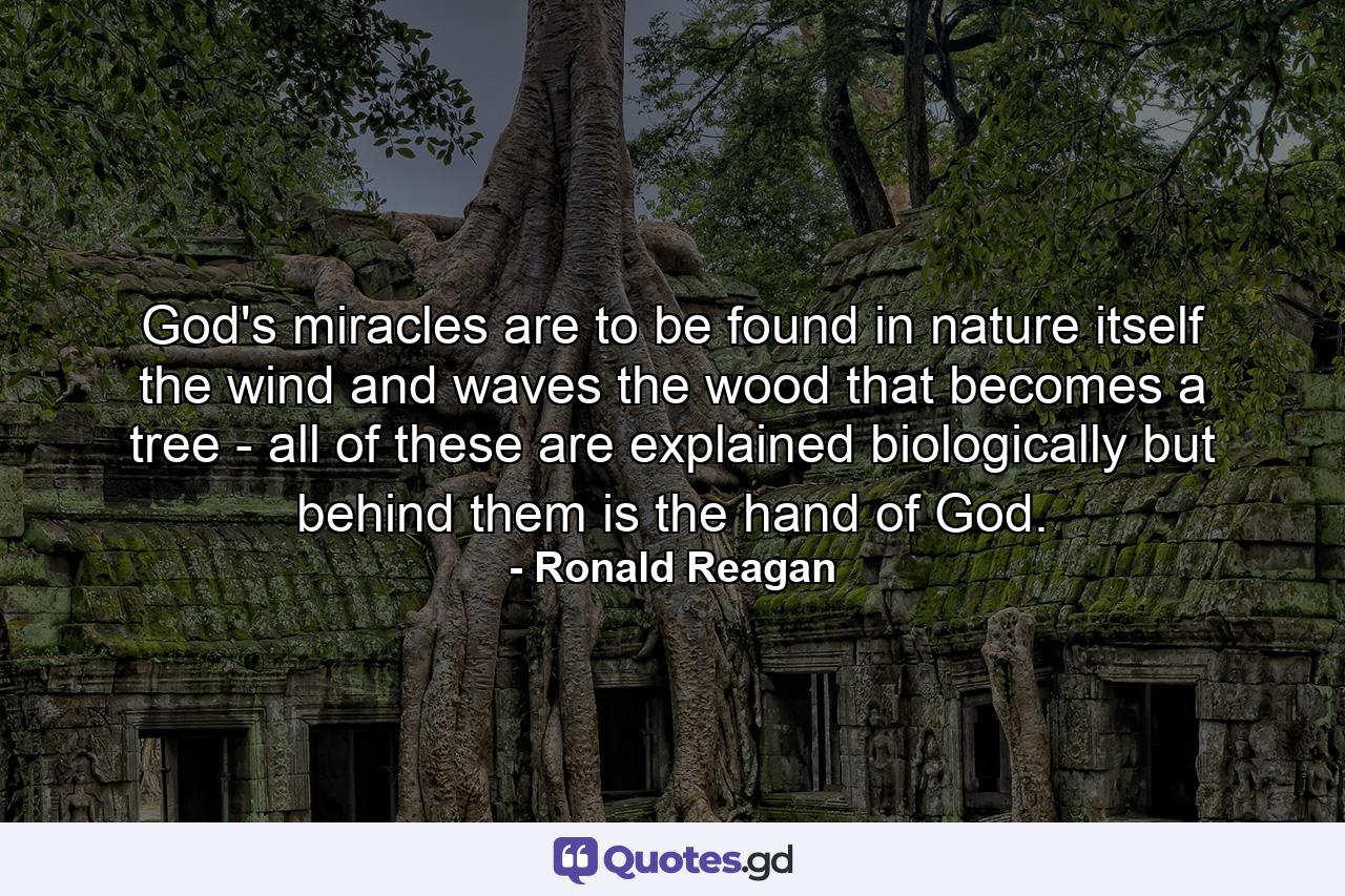 God's miracles are to be found in nature itself  the wind and waves  the wood that becomes a tree - all of these are explained biologically  but behind them is the hand of God. - Quote by Ronald Reagan