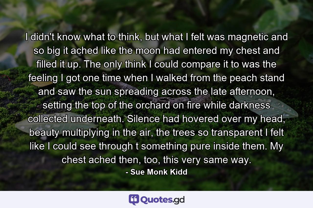 I didn't know what to think, but what I felt was magnetic and so big it ached like the moon had entered my chest and filled it up. The only think I could compare it to was the feeling I got one time when I walked from the peach stand and saw the sun spreading across the late afternoon, setting the top of the orchard on fire while darkness collected underneath. Silence had hovered over my head, beauty multiplying in the air, the trees so transparent I felt like I could see through t something pure inside them. My chest ached then, too, this very same way. - Quote by Sue Monk Kidd