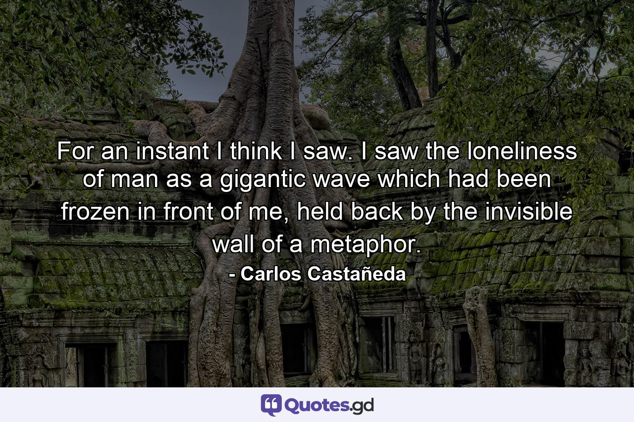 For an instant I think I saw. I saw the loneliness of man as a gigantic wave which had been frozen in front of me, held back by the invisible wall of a metaphor. - Quote by Carlos Castañeda