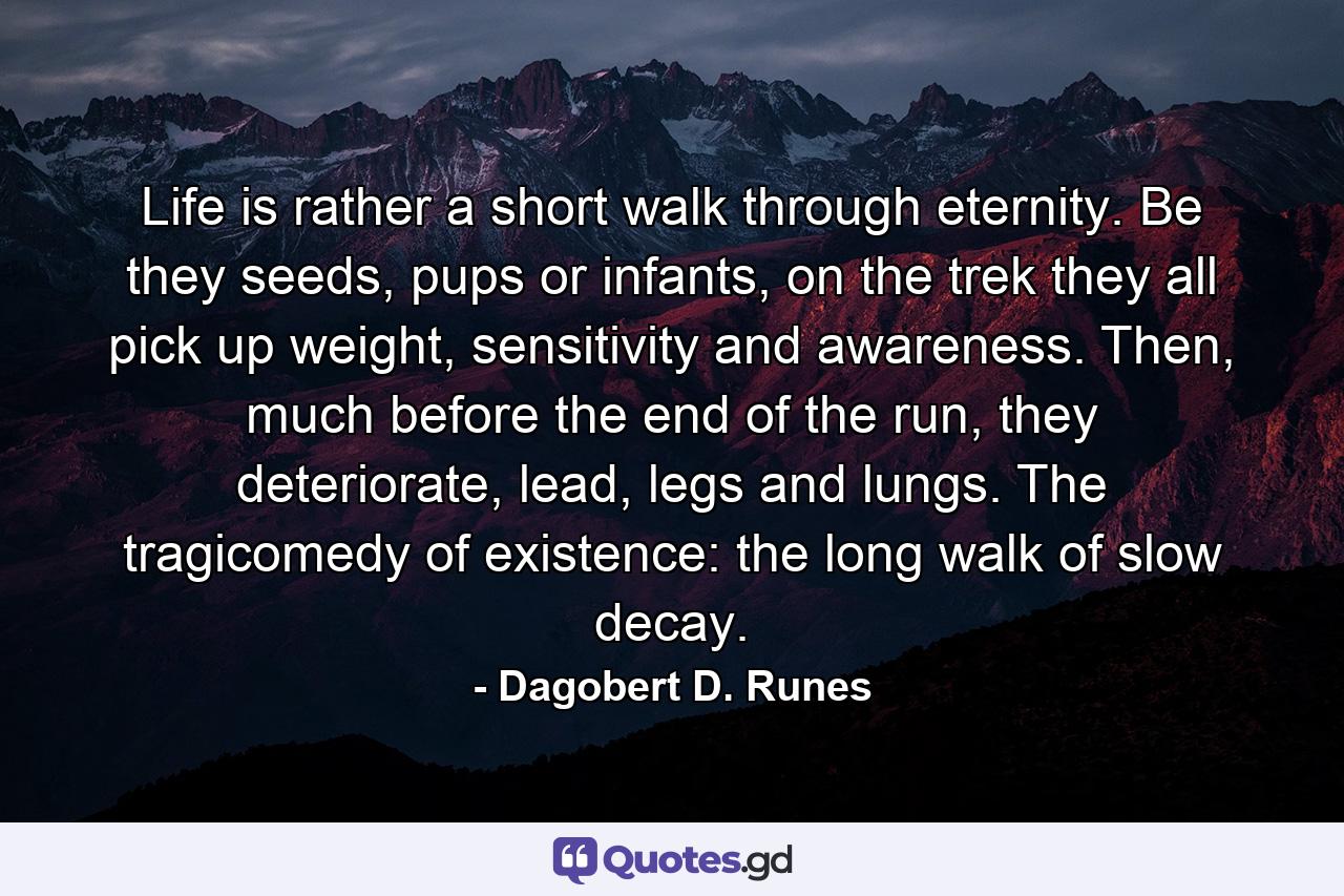 Life is rather a short walk through eternity. Be they seeds, pups or infants, on the trek they all pick up weight, sensitivity and awareness. Then, much before the end of the run, they deteriorate, lead, legs and lungs. The tragicomedy of existence: the long walk of slow decay. - Quote by Dagobert D. Runes